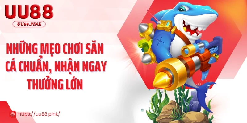 Những mẹo chơi săn cá chuẩn, nhận ngay thưởng lớn 